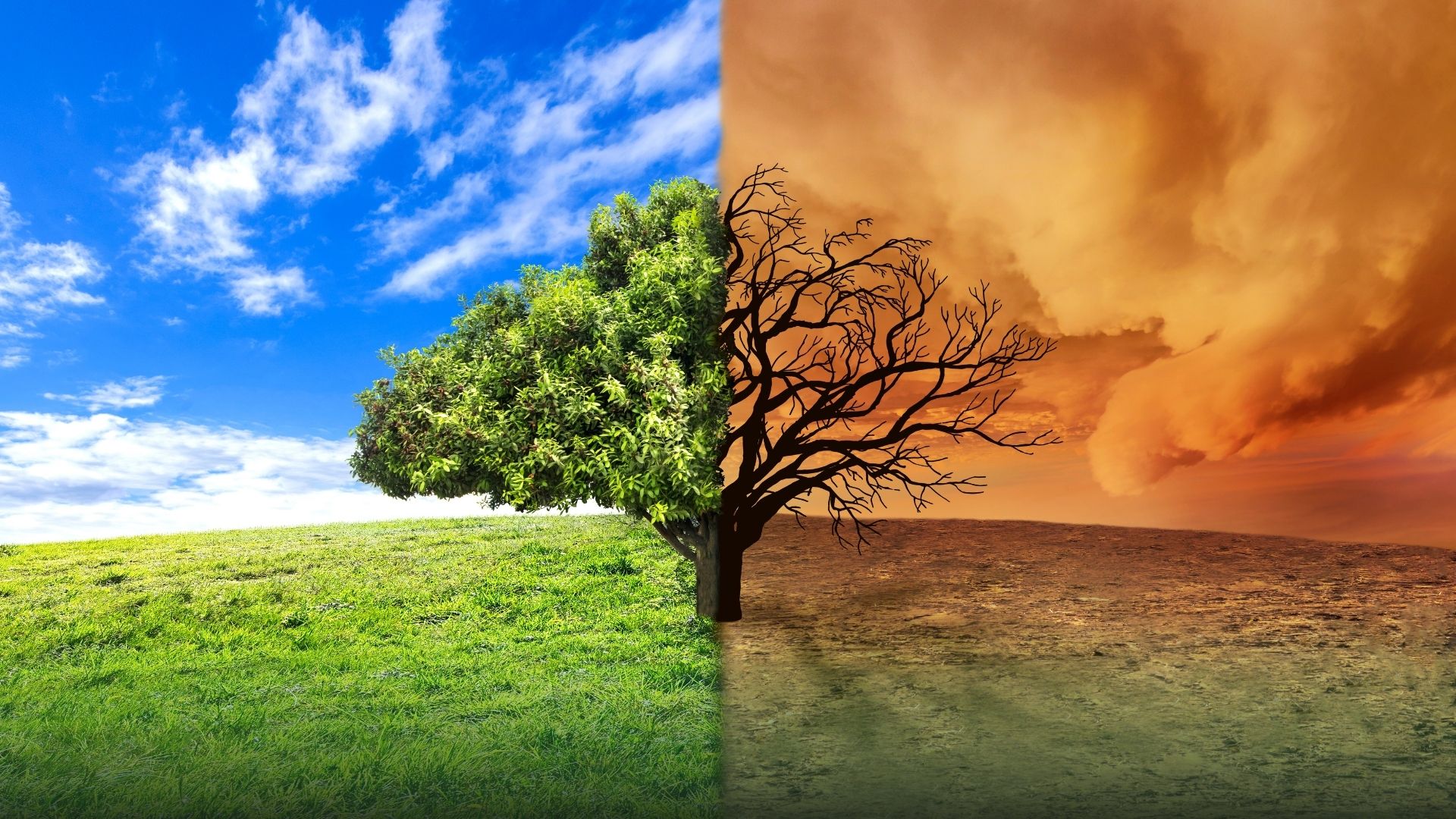 Climate Risk Reduction & Organisational Resilience Essentials